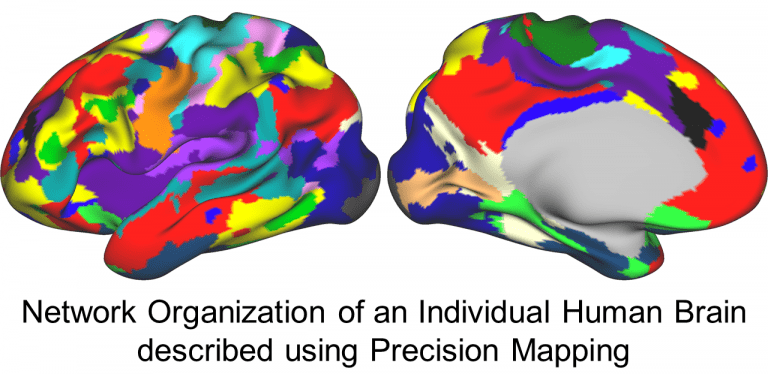 Network Organization of an Individual Human Brain described using Precision Mapping