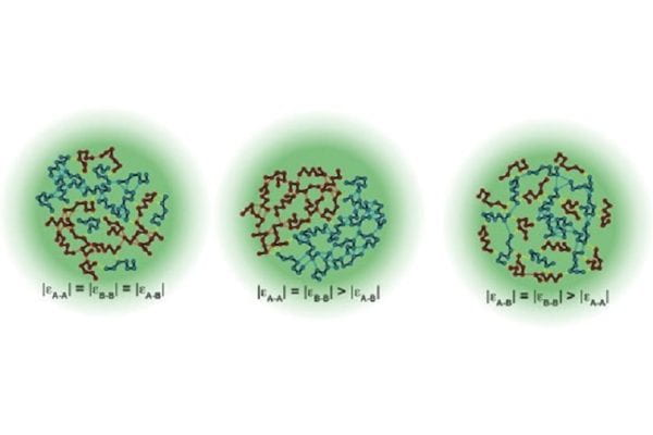 Mapping the cell’s membrane-less compartments